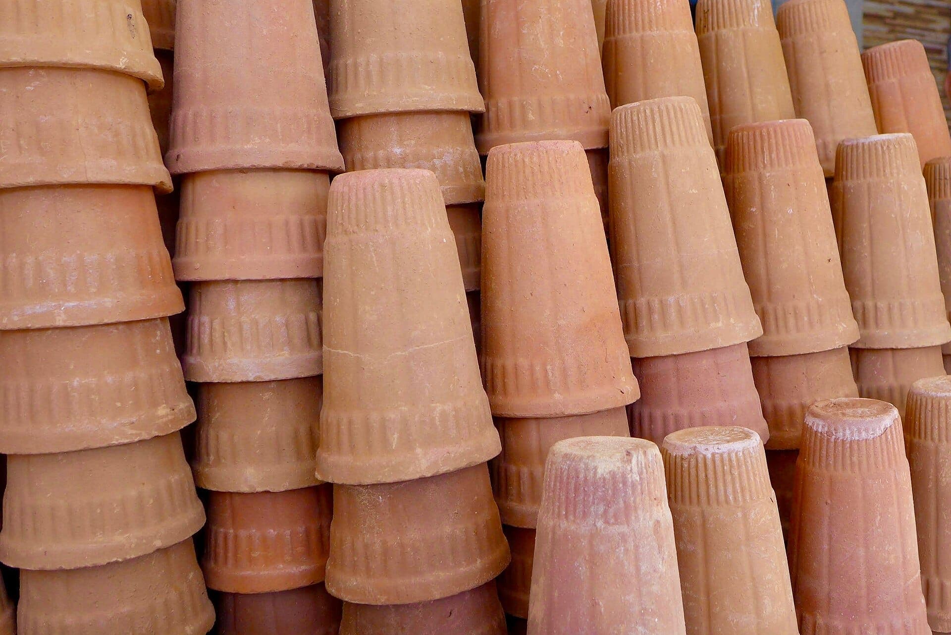 Bhaar Cups