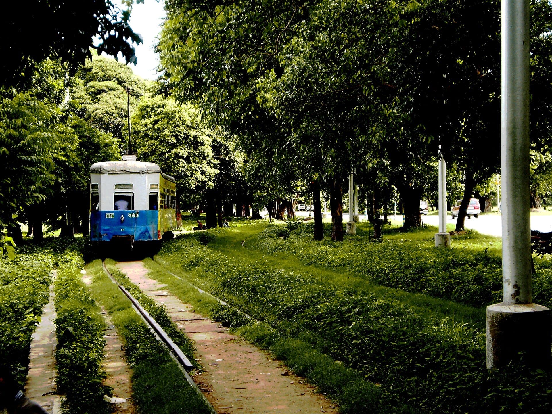 Tram Grass Track